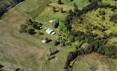 Agrícola en Venta en A 8 km de Los Muermos y 2 km de Cañitas
