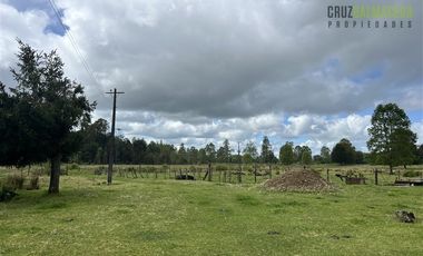 Agrícola en Venta en A 8 km de Los Muermos y 2 km de Cañitas