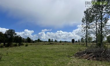 Agrícola en Venta en A 8 km de Los Muermos y 2 km de Cañitas