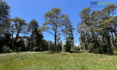 Parcela en Venta en Fundo Arthur, loteo con agua, electricidad, acceso Río Pescado y Lago Llanquihue, vista volcán Osorno