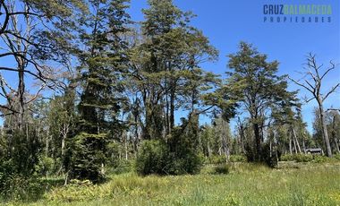 Parcela en Venta en Fundo Arthur, loteo con agua, electricidad, acceso Río Pescado y Lago Llanquihue, vista volcán Osorno