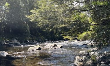 Parcela en Venta en Fundo Arthur, loteo con agua, electricidad, acceso Río Pescado y Lago Llanquihue, vista volcán Osorno