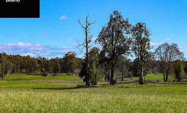 Venta de Parcelas con Credito Directo en Osorno, Los Lagos