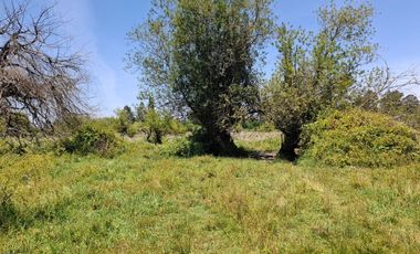 Parcela de 1,9 Hectáreas, en sector Las Rozas, Longavi