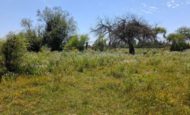 Parcela de 1,9 Hectáreas, en sector Las Rozas, Longavi