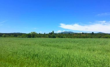 Parcelas planas en Longaví crédito directo hasta 36 cuotas