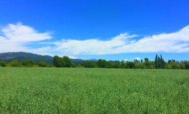 Parcelas planas en Longaví crédito directo hasta 36 cuotas