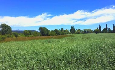 Parcelas planas en Longaví crédito directo hasta 36 cuotas