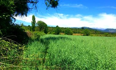 Parcelas planas en Longaví crédito directo hasta 36 cuotas