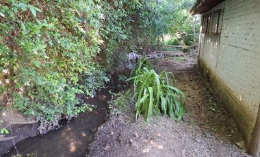 Casa y Parcela de 1 Hectárea en sector San Antonio Encina