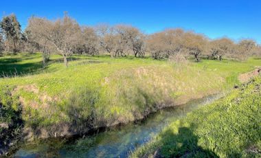 Parcelas planas a minutos centro de Chillán y San Nicolás