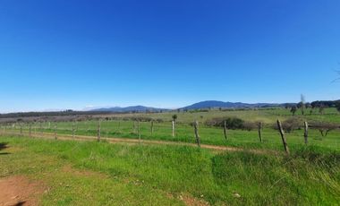 Parcelas planas a minutos centro de Chillán y San Nicolás