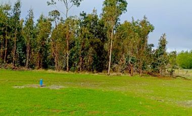 Parcelas planas a minutos centro de Chillán y San Nicolás