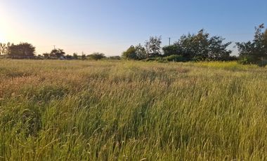 Parcela Media Hectárea, en Loteo Bellavista Sector Guadantum