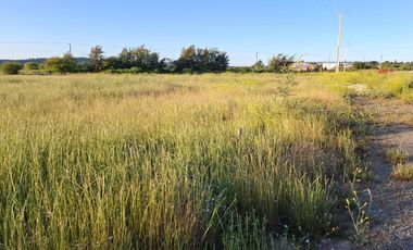 Parcela Media Hectárea, en Loteo Bellavista Sector Guadantum