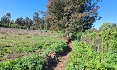 Parcela de Media hectárea, camino a San Juan