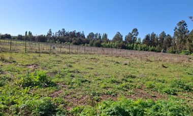 Parcela de Media hectárea, camino a San Juan