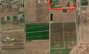 Parcela en Arriendo en CONDOMINIO RESERVA RIPAMONTI