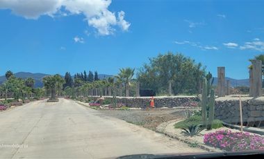 Parcela en Arriendo en CONDOMINIO RESERVA RIPAMONTI