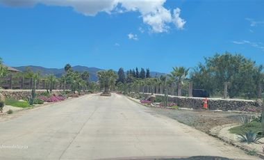 Parcela en Arriendo en CONDOMINIO RESERVA RIPAMONTI