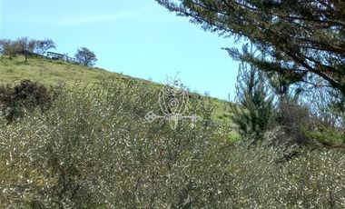 Parcela en Venta en Ruta G68.... camino a Rapel .........Unión de Codigua