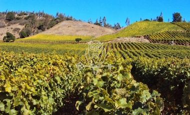 Parcela en Venta en Ruta G60 .....Camino a Rapel ....Union de Codigua