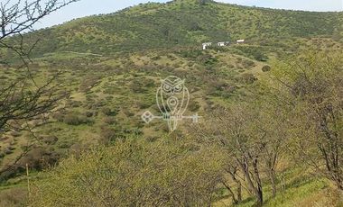 Sitio en Venta en Parcela lote E La Union de Codegua Melipilla