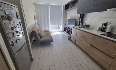 Departamento en Venta en Departamento Imagina 1D 1B Terraza Parque Almagro