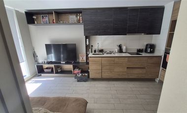 Departamento en Venta en Departamento Imagina 1D 1B Terraza Parque Almagro