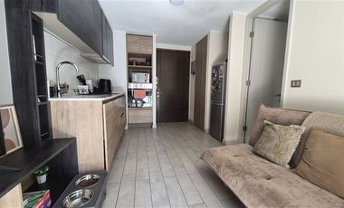 Departamento en Venta en Departamento Imagina 1D 1B Terraza Parque Almagro