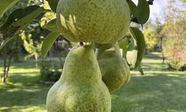 Casa en Venta en La Punta Hj 2