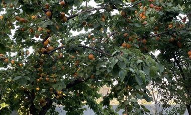 Casa en Venta en La Punta Hj 2