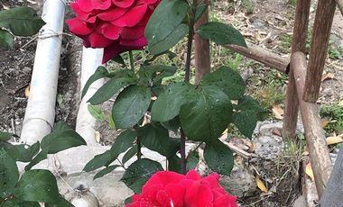 Parcela en Venta en La Punta Hj 2