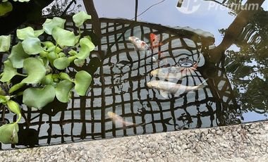 Parcela en Venta en La Punta Hj 2