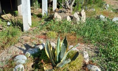 Arriendo Parcela Algarrobito - Altovalsol