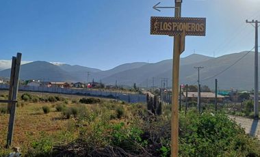 Arriendo Parcela Algarrobito - Altovalsol