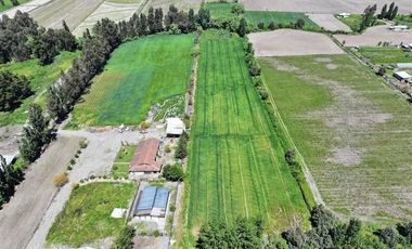 Agrícola en Venta en 35°46'54.1