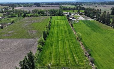 Agrícola en Venta en 35°46'54.1