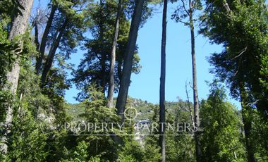 Patagonia, 106ha a orillas del río Futaleufú.
