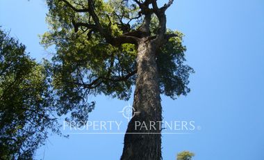 Patagonia, 106ha a orillas del río Futaleufú.
