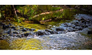 Parcelas Orilla de Río en Villarrica