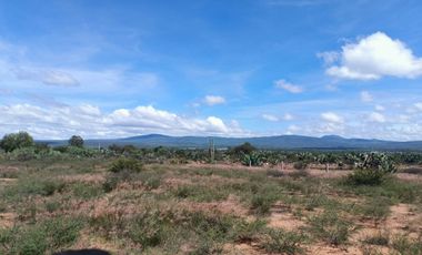 Terreno en Venta en Mamithi, Huichapan, Hidalgo.