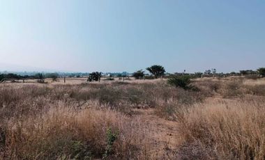 Terreno en Venta en Mamithi, Huichapan, Hidalgo.