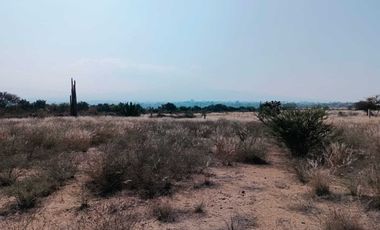 Terreno en Venta en Mamithi, Huichapan, Hidalgo.