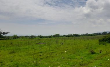 Terreno en Venta en Dantzibojay en Huichapan, Hidalgo