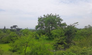 Terreno en Venta en Dantzibojay en Huichapan, Hidalgo