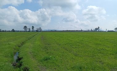 Terreno en Venta en Polotitlan, Estado de Mexico