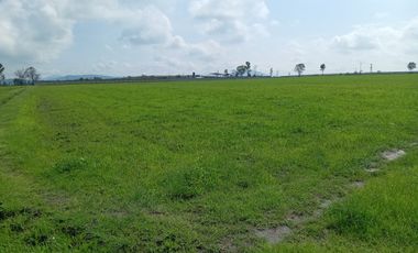 Terreno en Venta en Polotitlan, Estado de Mexico