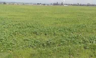 Terreno en Venta en Polotitlan, Estado de Mexico