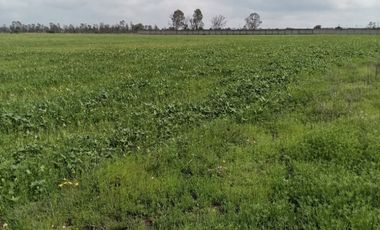 Terreno en Venta en Polotitlan, Estado de Mexico